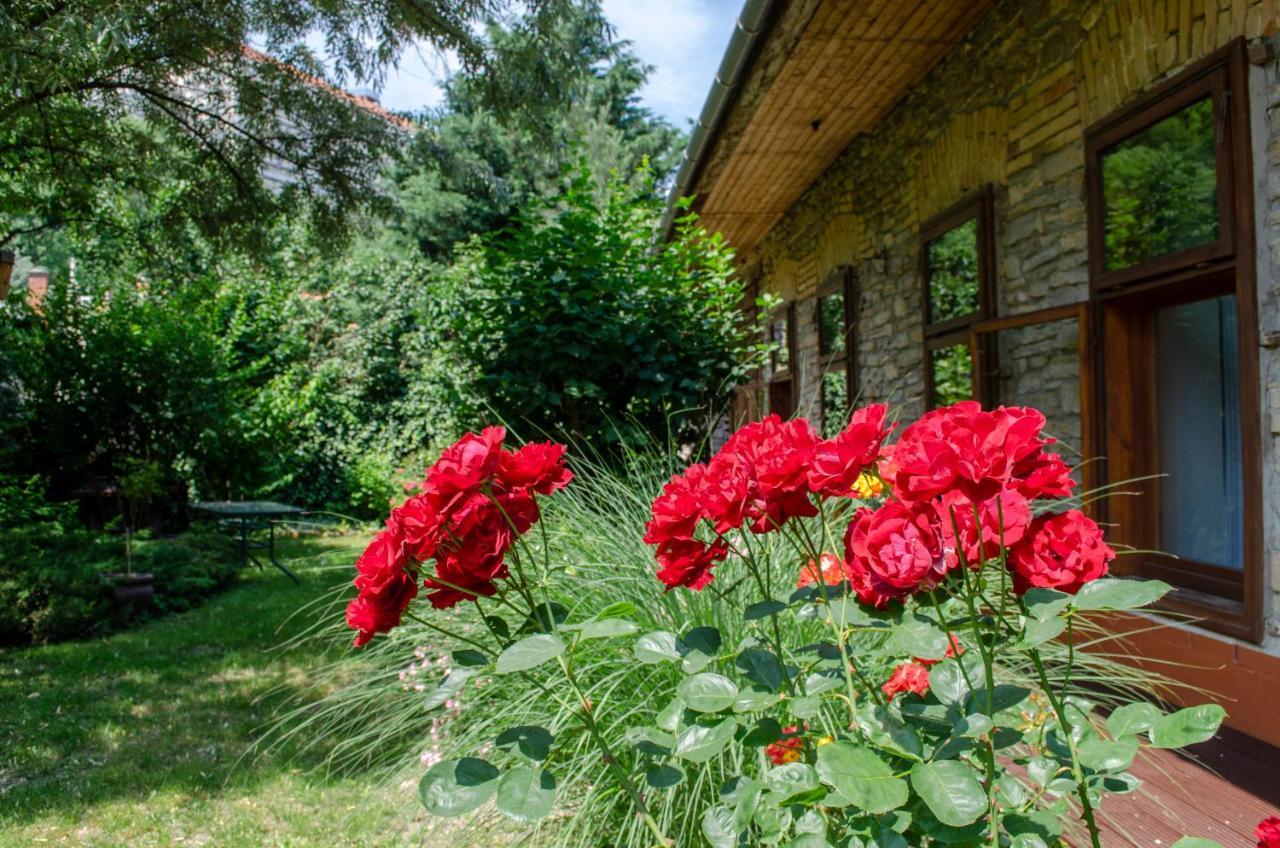 Ferienwohnung Kohaz Apartman Veszprém Exterior foto